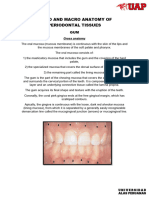 Micro and Macro Anatomy of Periodontal Tissues