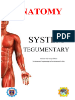 Integumentary System