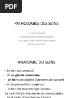 Pathologies Des Seins