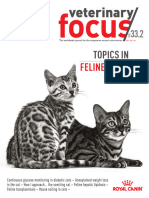 Vet Focus 332