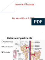 Glomerular Diseases