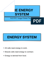 Energy System (Full)