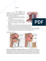 Aula 9 - Traqueostomia e Cricostomia