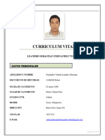 Curriculum Vitae: Leandro Sebastian Fernandez Velarde