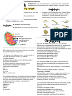 Doenças Causadas Por Bactérias