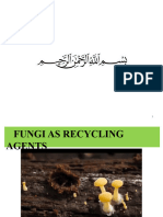 Fungi As Recyclers