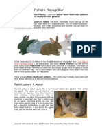 Rabbit Color Pattern Recognition