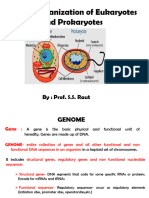 TY - Biotech - Genetic Organization of Prokaryotic and Eukaryotic