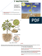 Nutrition in Plants