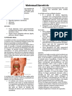 Sistema Digestório - Anatomia