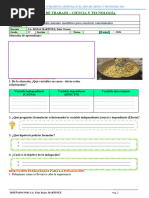 Ficha de Indagación