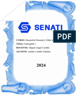 Entregable 01 Senati DPTL