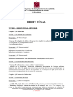 Plan Droit Pénal