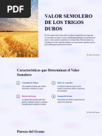 Valor Semolero de Los Trigos Duros