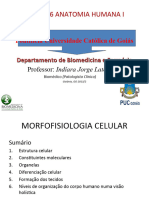 Aula 3 Fisiologia Celular