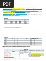 Formato 2 - Plan Del Acompañamiento Pedagogico - Ensayo - Taller