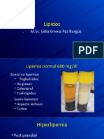 Lipidos