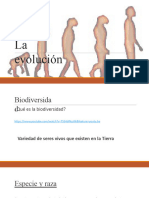 Evolución