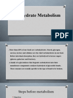 CHO Metabolism - Manal