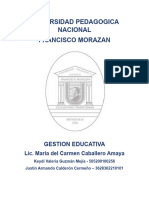 Analisis Cap 1, Gestion Institucional