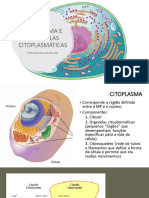 Aula 4 - CITOPLASMA E ORGANELAS CITOPLASMÁTICAS