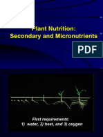 Nutrient Secondary and Micro