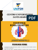 Sistema Renal