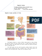 How Is Food Digested