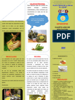 Plantilla de Triptico en Word