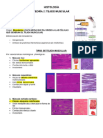 t2. Fisiología Sistema Muscular (1ra Parte Más Completa)