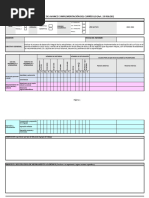 Informe - Avance e Implementación Del Currículo - Nivel Inicial - Ec