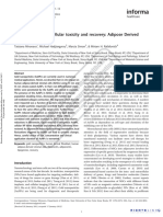 Gold Nanoparticles Cellular Toxicity