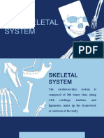 Skeletal System Group 5