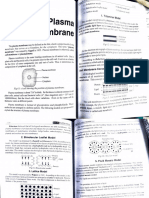 Plasma Membrane English