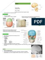 Anatomia Lab