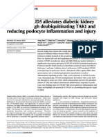 Podocyte OTUD5 Alleviates Diabetic Kidney Disease Through Deubiquitinating TAK1 and Reducing Podocyte Inflammation and Injury