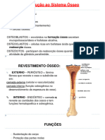 Introdução Ao Sistema Ósseo