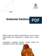 Anatomia Cardiovascular-1