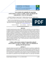 6536-Texto Do Artigo-24149-1-10-20230730