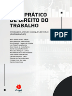 Guia Pratico de Direito Do Trabalho