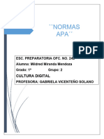 Normas Apa