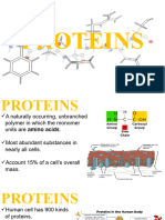 Lesson 5 Proteins