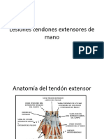 Lesiones Tendones Extensores de Mano23