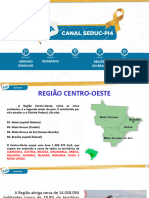 Regiao Centro Sul