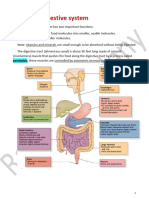 10-Digestive System by R.M