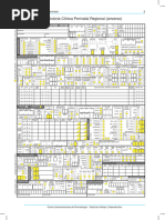 Historia Clinica Perinatal Completa
