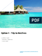 Option 1 - Trip To Maldives