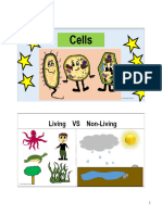 Animal Vs Plant Cells