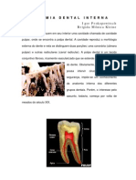 Anatomia Dental Interna