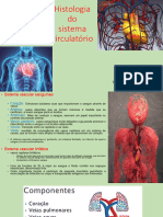 HIstologia Do Sistema Circulatório 2